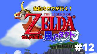 【ﾎﾛｳ ﾉ ﾚﾄﾛ ｹﾞｴﾑ】ゼルダの伝説風のタクト#12 【金色ホロウ】