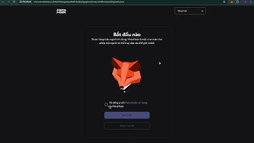 hướng dẫn lập ví metamask trên chrome