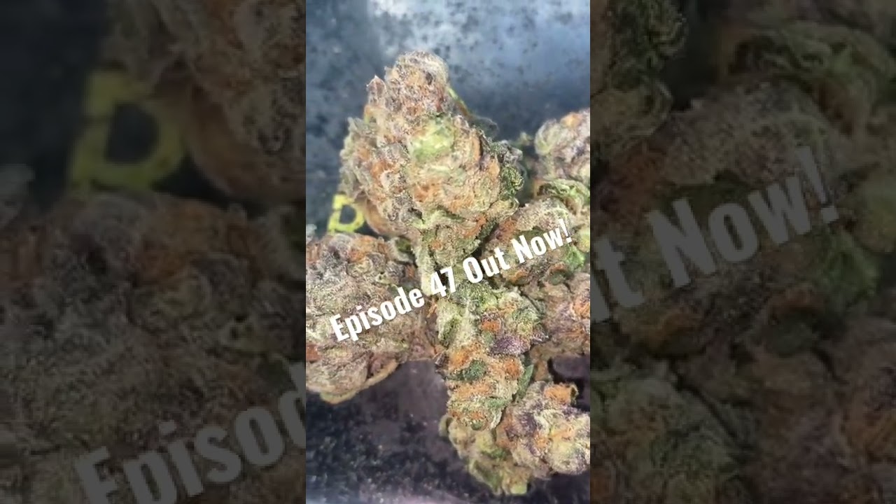 Grape Biscotti | EPISODE 47