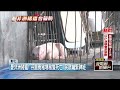 非洲豬瘟擴散