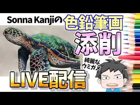 色鉛筆画イラスト添削live 2 綺麗なウミガメの塗り方 Youtube