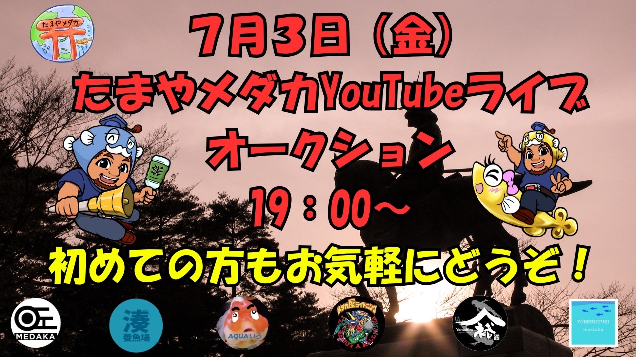 7月3日（金）ライブオークション - YouTube