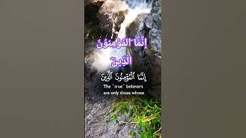 تلاوة خاشعة بصوت جميل جدا يفوق الوصف #elmulquranعلم #تلاوة #قران_كريم #المصحف #trend #اكسبلور