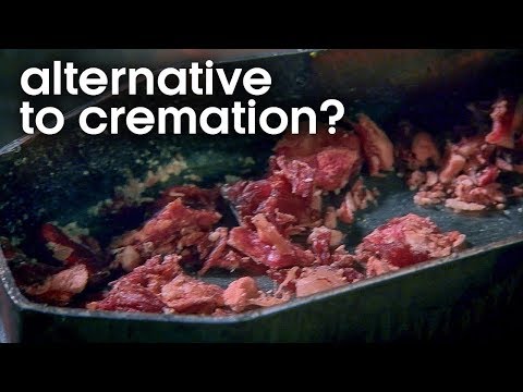 Can Freeze Drying Challenge Cremation? | Earth Lab