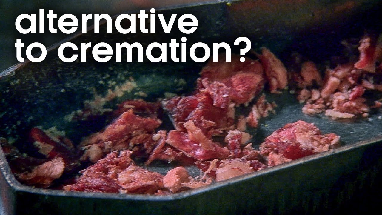 Can Freeze Drying Challenge Cremation? | Earth Lab