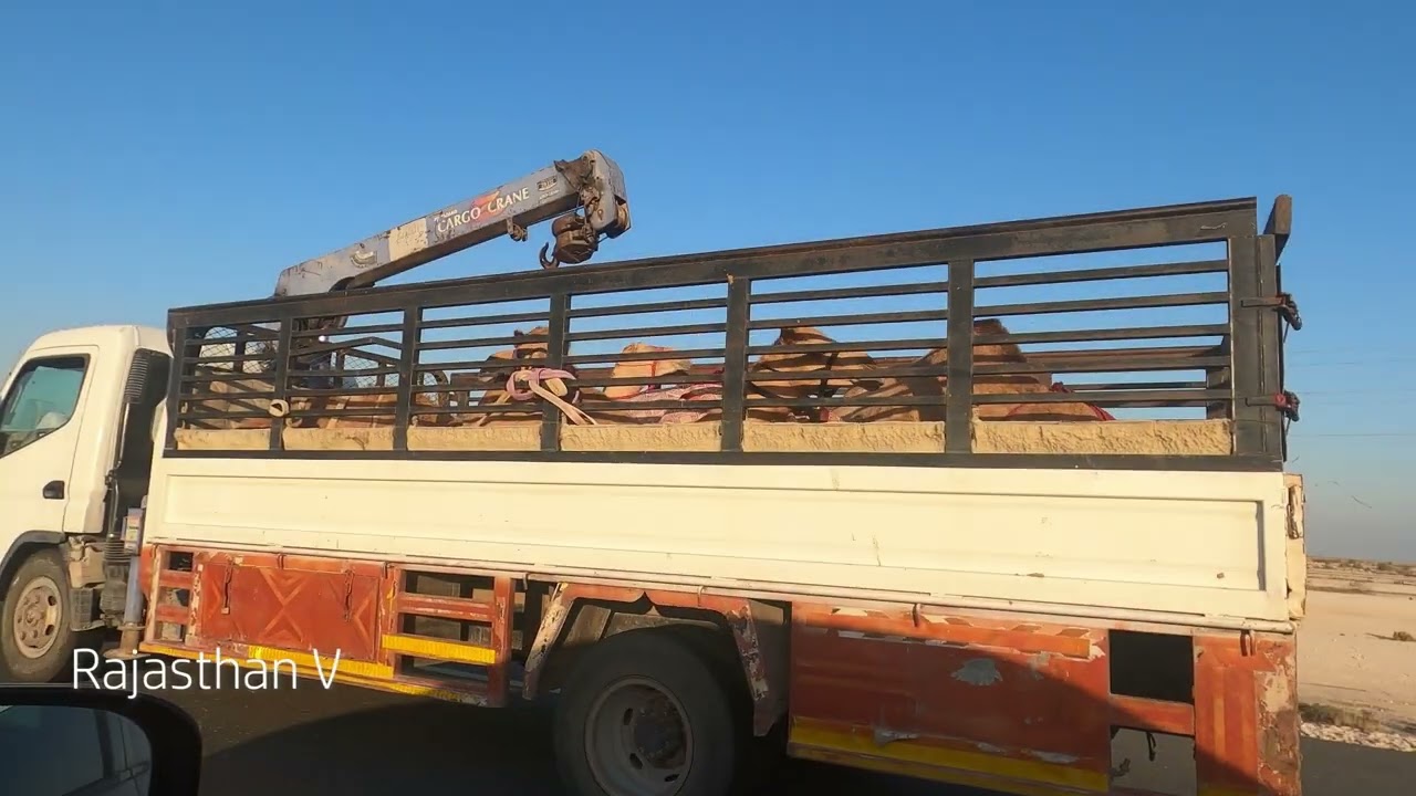 End point Qatar - Al Ruwais