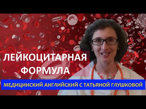Анализы крови. Часть 1 Медицинский английский с Татьяной Глушковой