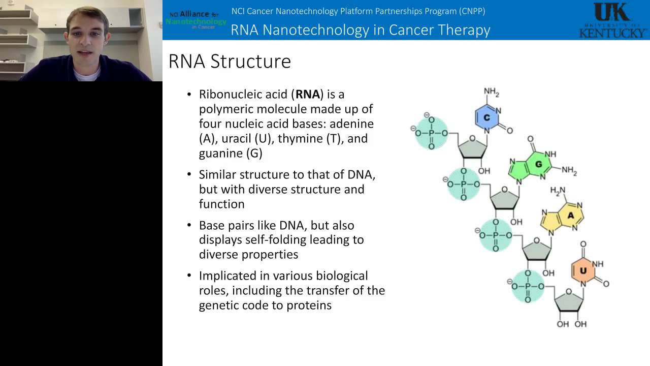 Daniel Jasinski - Large scale purification of RNA and RNA based Nanoparticles