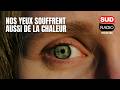 Sécheresse, irritations, brûlures… Nos yeux souffrent aussi de la chaleur