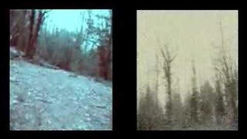 Slight Movement by PART-SUB-MERGED