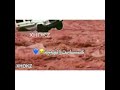نعم لنا والله لنا نعم لنا والله لنا