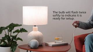 mazon Basics Smart A19 LED Light Bulb