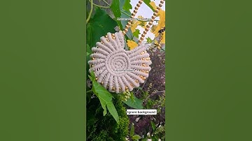 Macrame sea shell bag #trending #viral #shorts #handmade #diy #smallbusiness #video #macrame