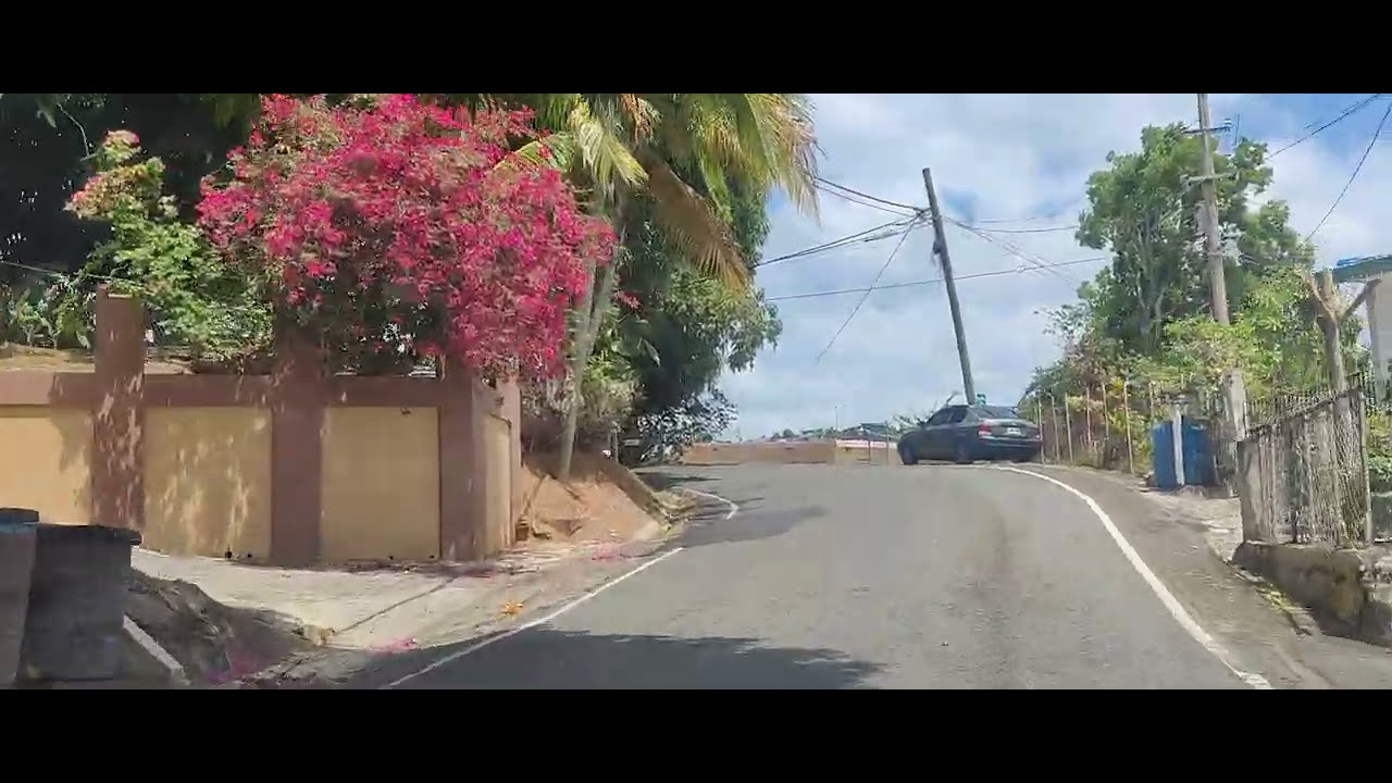 MIRADERO, OVEJAS HASTA AÑASCO PUEBLO.