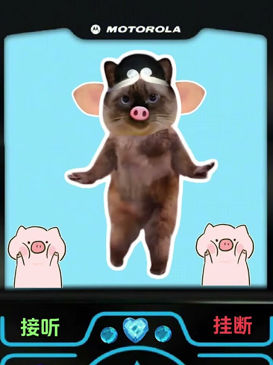 why-don-t-you-pick-up-my-call-shorts-pets-funny-freefire-fyp-youtube