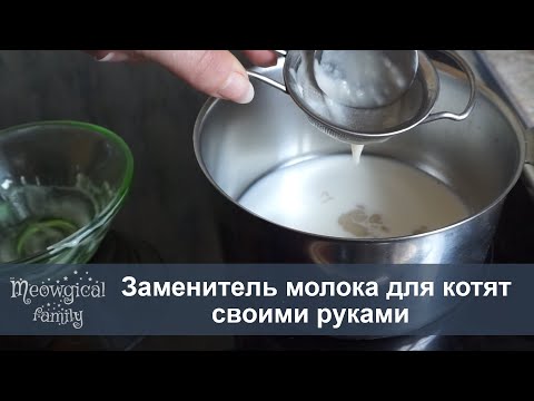 Чем заменить кошачье молоко в домашних условиях