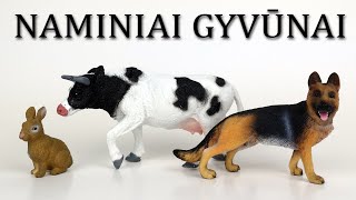 NAMINIAI GYVŪNAI. Mokomės pažinti naminius gyvūnus. Su praktine užduotimi. screenshot 5