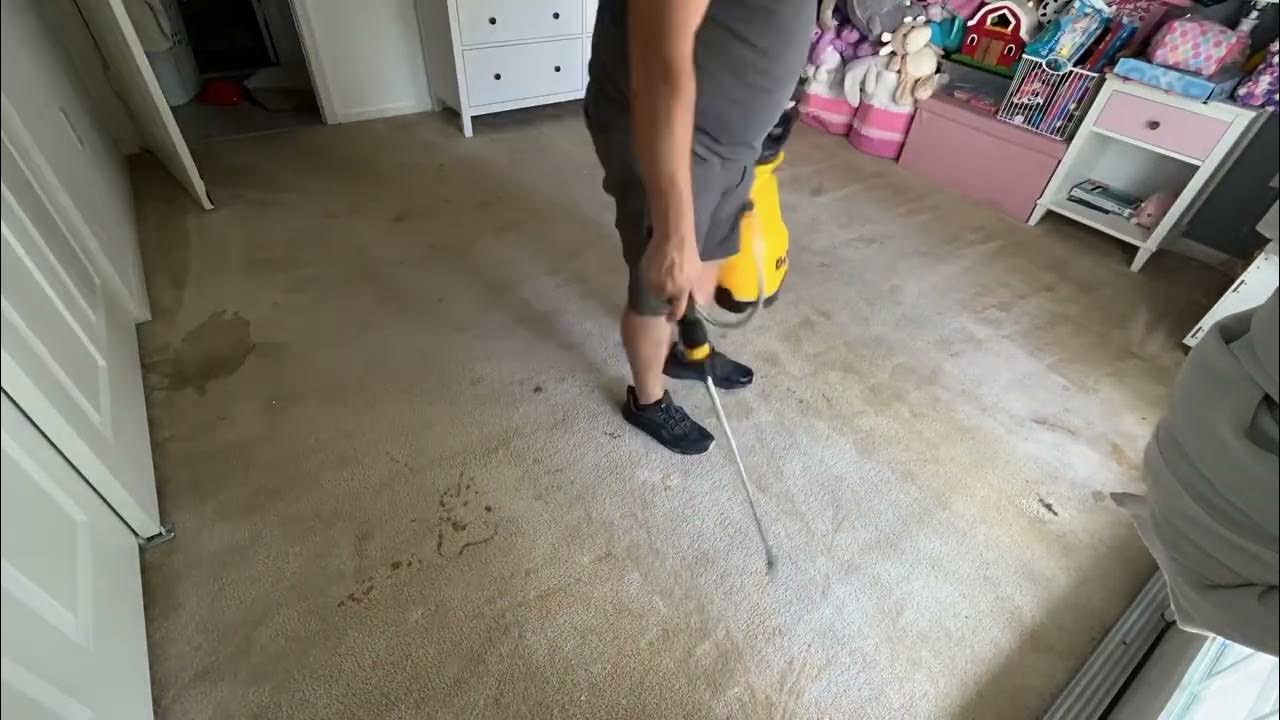 Heavily Soiled and stained Carpet Cleaning in Pembroke Pines, Florida