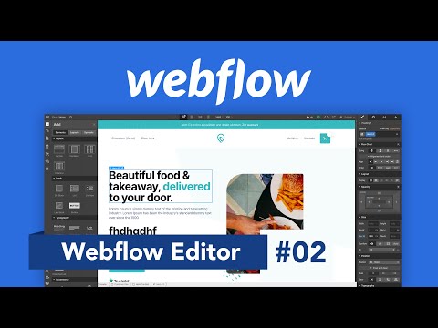 Webflow Editor: Webseite erstellen (Tutorial) Designen ohne Code