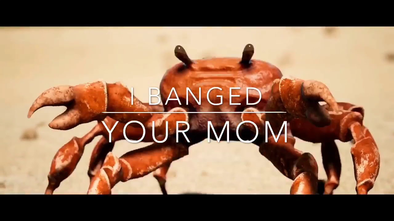 Obama Is Gone Crab Rave - crab from crab rave roblox