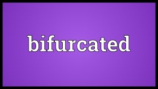 Bifurcated Meaning