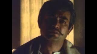 Pyaar Ka Badla Mujhe, Dekho Kaisa Mila