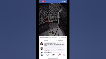Facebook Buyer Lead Ad to Messenger Chatbot Screencast
