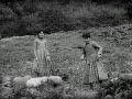 Путь домой (1981) Фильм Александр Рехвиашвили. Фильм с Вахтанг Панчулидзе, Рамаз Чхиквадзе. Драма