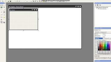 Visual basic form ve buton renklendirme  Hİtlan net