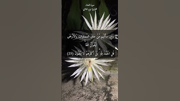 آية ٢٥ "ولئن سألتهم من خلق السماوات والأرض" من سورة لقمان