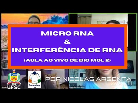 Vídeo: Uma Visão Geral Dos MicroRNAs Codificados Por Vírus RNA