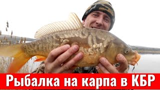 Рыбалка на КАРПА С МЕЛКИМИ КРЮЧКАМИ в ЛЕДЯНОЙ ВОДЕ #фидер #флэтфидер #флэтметод #карп #белыйамур