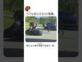 大型犬たちの警戒レベルMAX
