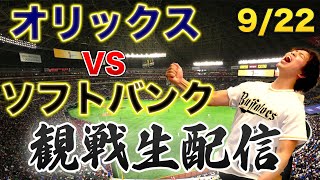 B-モレル B桑の配信のサムネイル画像