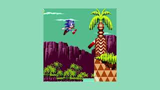 (1 Hour) Palmtree Panic - Past | Slowed + Reverb [Sonic CD]