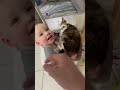 Cat knows how to take care of toddler #cat #kitty #love #pets #amazing #incredible #friendship