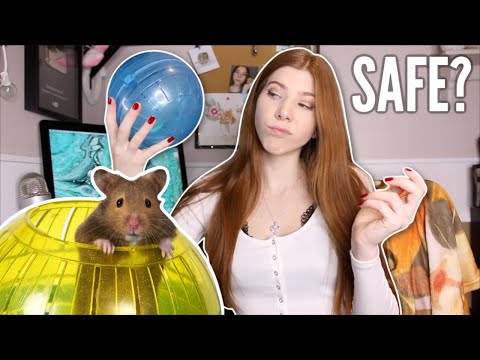 Video: Hamster Balls Có Nguy Hiểm Không?