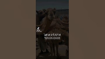 ارح سمعك بتلاوة خاشعة تريح القلب آية الكرسي #قرآن #تلاوة_خاشعة