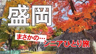盛岡ぶらりひとり旅