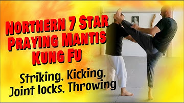 PRAYING MANTIS KUNG FU | JOINT LOCKS, KICKS, STRIKES, THROWS