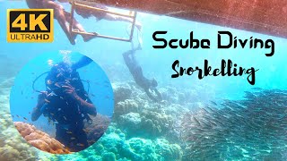 Scuba Diving in Andaman | Snorkelling, Sea Walk | Underwater Andaman | Neil Island | Gopro Hero 6 4K