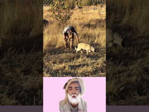 درس في التركيز والسكينة وسط المواقف الطريفة