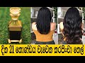 දින 21 හිසකෙස් වවන තෙල් එකක් [ කරපිංචා තෙල්  ] Homemade Curry Leaves Oil | konde wawena beheth