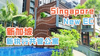 [CN/EN SUB] Tour of Singapore Brand New Executive Condominium Piermont Grand EC 参观朋友在新加坡买的新执行共管公寓