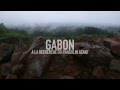 Gabon : à la recherche du pangolin géant