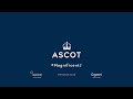 Magnificent 7 - Race 2 DIFFIDENT