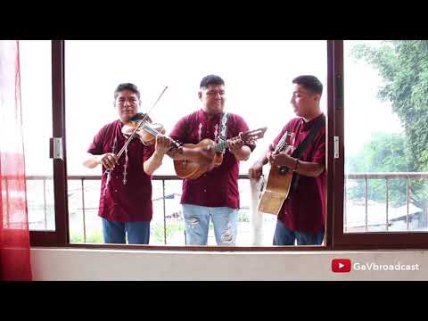 Trio XinAch toca un son tradicional desde la sierra Poblana