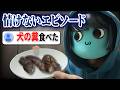 【恐怖】リスナーの情けないエピソードを聞いたら生死を彷徨ってた