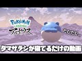 【作業用】タマザラシが1時間寝てるだけの動画【ポケモンLEGENDSアルセウス】
