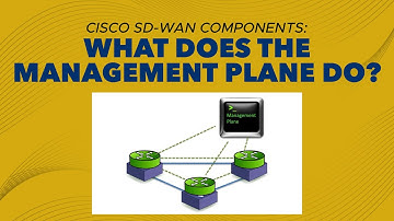 Cisco SD-WAN Components: What does the Management Plane do? | ENSDWI 300-415 | @PyNetLabs